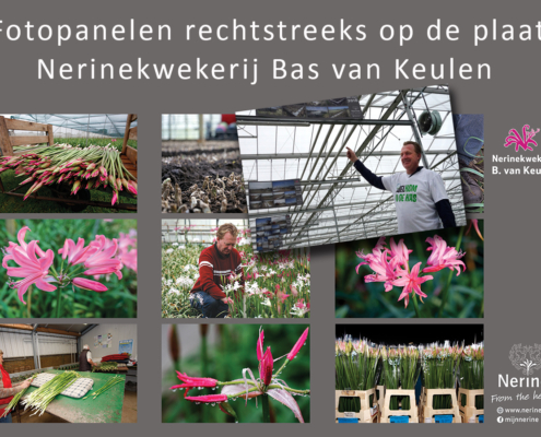 Bas van Keulen Heemskerk